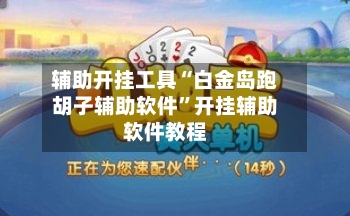 辅助开挂工具“白金岛跑胡子辅助软件	”开挂辅助软件教程-第1张图片