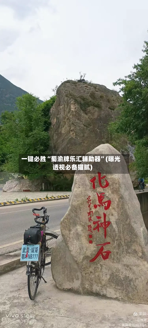 一键必胜“蜀渝牌乐汇辅助器”(曝光透视必备猫腻)-第1张图片