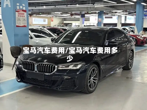 宝马汽车费用/宝马汽车费用多少-第1张图片