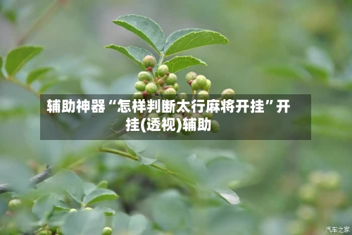 辅助神器“怎样判断太行麻将开挂	”开挂(透视)辅助-第1张图片
