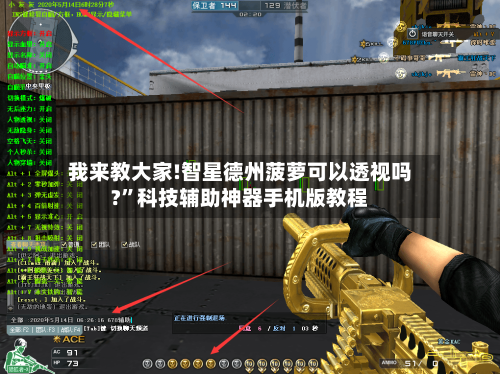 我来教大家!智星德州菠萝可以透视吗?”科技辅助神器手机版教程-第1张图片