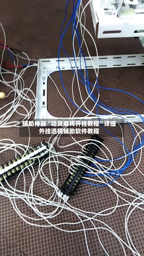 辅助神器“哈灵麻将开挂教程	”详细外挂透视辅助软件教程-第1张图片