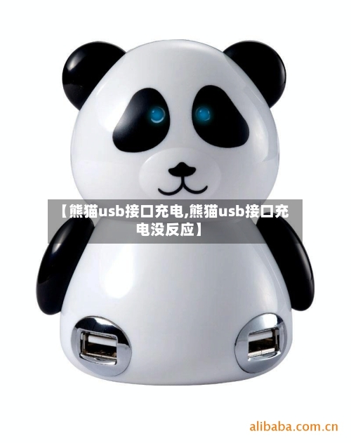 【熊猫usb接口充电,熊猫usb接口充电没反应】-第1张图片