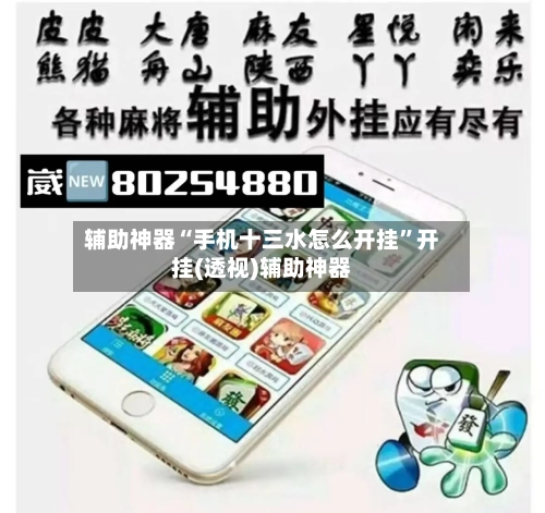 辅助神器“手机十三水怎么开挂	”开挂(透视)辅助神器-第1张图片
