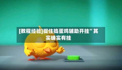 [教程经验]捉住捣蛋鸡辅助开挂”其实确实有挂-第1张图片