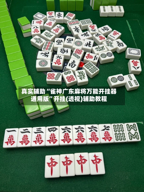 真实辅助“雀神广东麻将万能开挂器通用版”开挂(透视)辅助教程-第1张图片