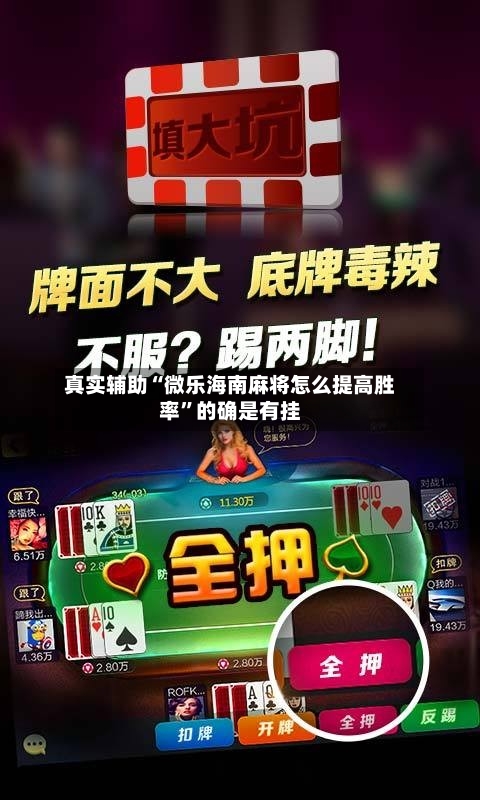 真实辅助“微乐海南麻将怎么提高胜率	”的确是有挂-第1张图片