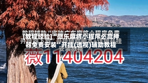[教程经验]“微乐麻将小程序必赢神器免费安装	”开挂(透视)辅助教程-第1张图片