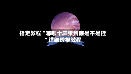 指定教程“嘟嘟十三张到底是不是挂”详细透视教程-第1张图片