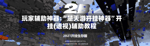 玩家辅助神器:“楚天游开挂神器	”开挂(透视)辅助教程-第1张图片