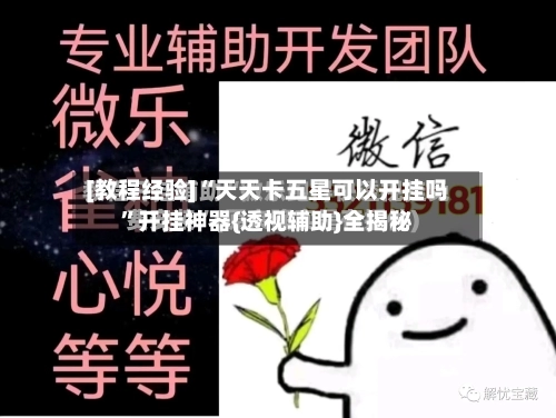 [教程经验]“天天卡五星可以开挂吗”开挂神器{透视辅助}全揭秘-第1张图片