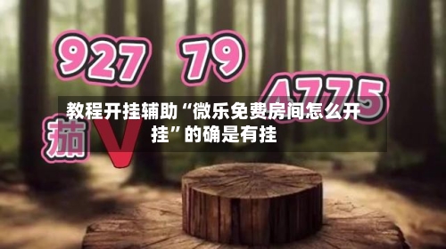 教程开挂辅助“微乐免费房间怎么开挂”的确是有挂-第1张图片