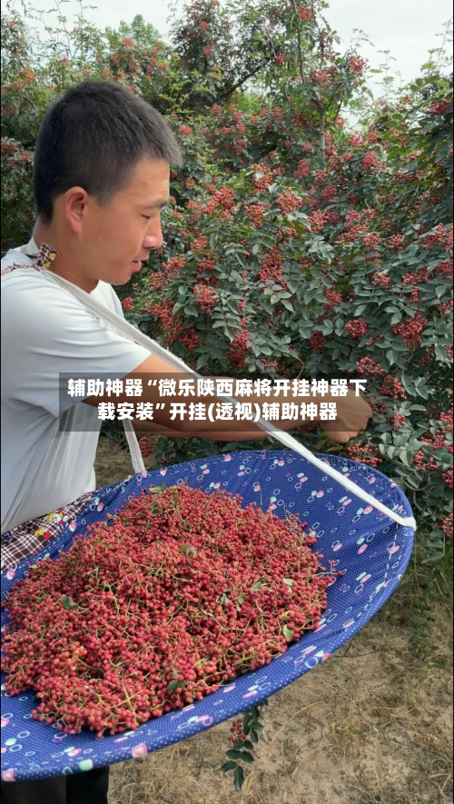 辅助神器“微乐陕西麻将开挂神器下载安装”开挂(透视)辅助神器-第1张图片