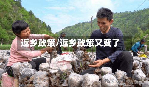 返乡政策/返乡政策又变了-第1张图片