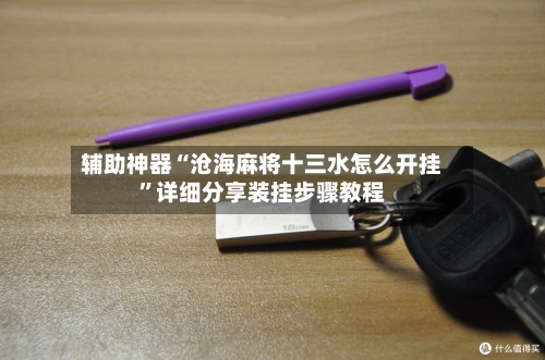 辅助神器“沧海麻将十三水怎么开挂	”详细分享装挂步骤教程-第1张图片