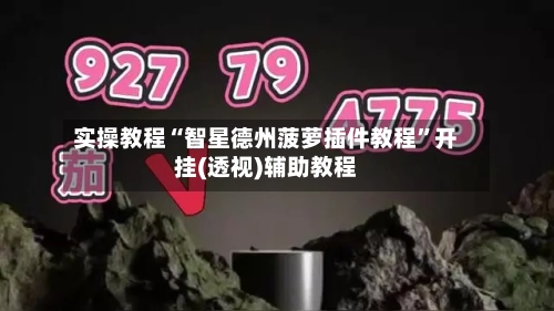 实操教程“智星德州菠萝插件教程”开挂(透视)辅助教程-第1张图片