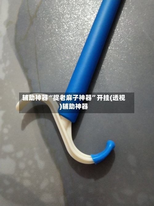 辅助神器“捉老麻子神器”开挂(透视)辅助神器-第1张图片