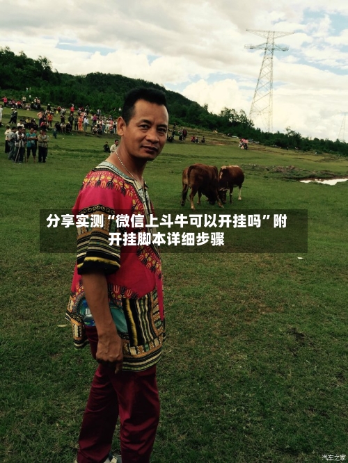 分享实测“微信上斗牛可以开挂吗”附开挂脚本详细步骤-第1张图片