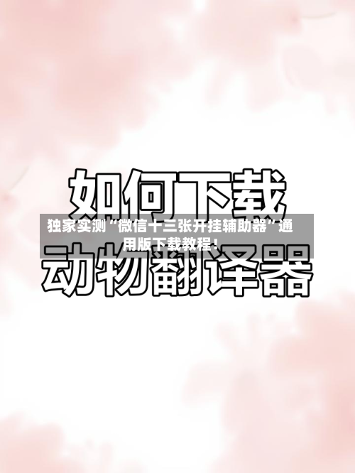 独家实测“微信十三张开挂辅助器”通用版下载教程！-第1张图片