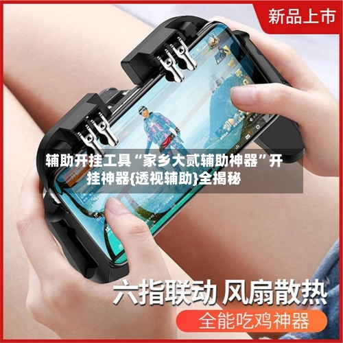 辅助开挂工具“家乡大贰辅助神器”开挂神器{透视辅助}全揭秘-第1张图片