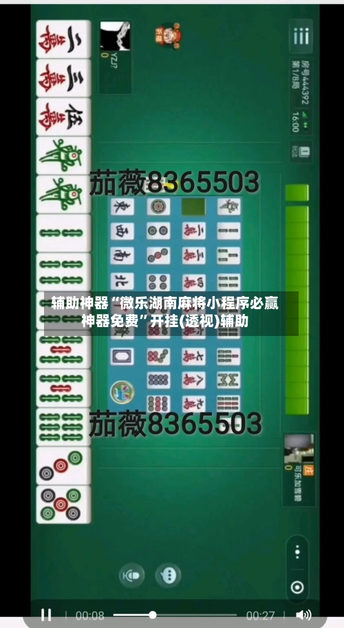 辅助神器“微乐湖南麻将小程序必赢神器免费”开挂(透视)辅助-第1张图片