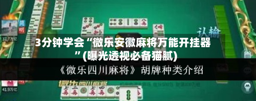 3分钟学会“微乐安徽麻将万能开挂器”(曝光透视必备猫腻)-第1张图片