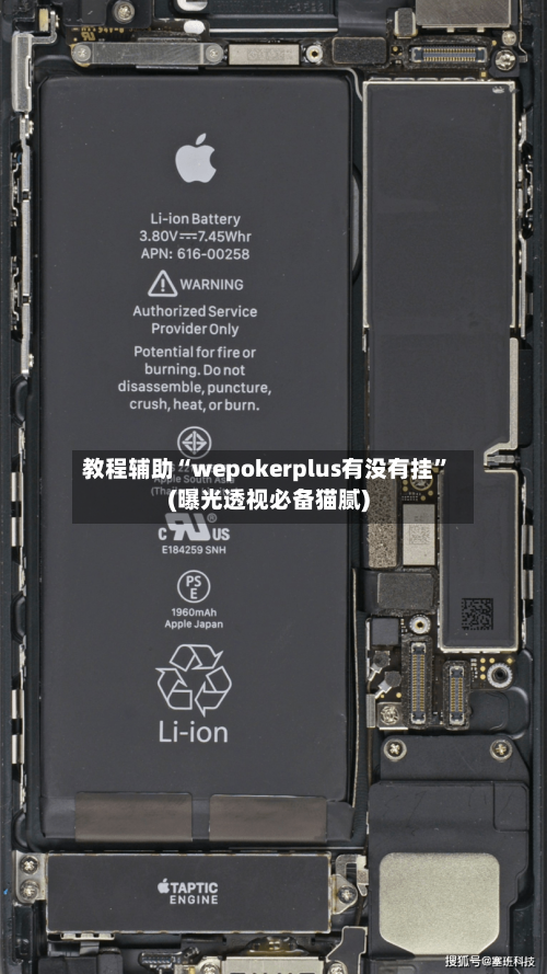教程辅助“wepokerplus有没有挂”(曝光透视必备猫腻)-第1张图片