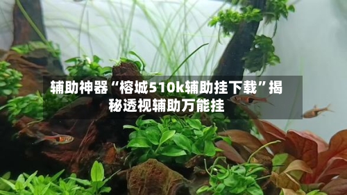 辅助神器“榕城510k辅助挂下载”揭秘透视辅助万能挂-第1张图片