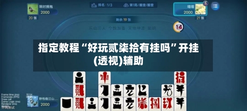 指定教程“好玩贰柒拾有挂吗”开挂(透视)辅助-第1张图片