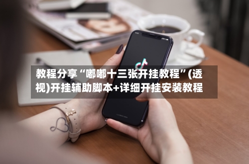 教程分享“嘟嘟十三张开挂教程”(透视)开挂辅助脚本+详细开挂安装教程-第1张图片