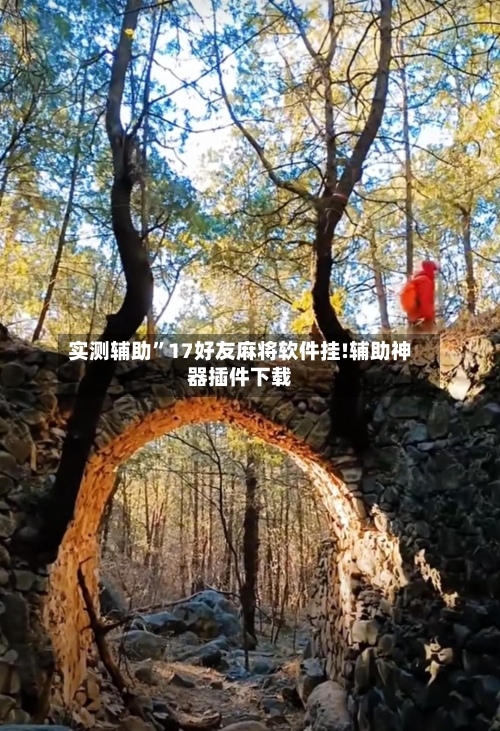 实测辅助	”17好友麻将软件挂!辅助神器插件下载-第1张图片