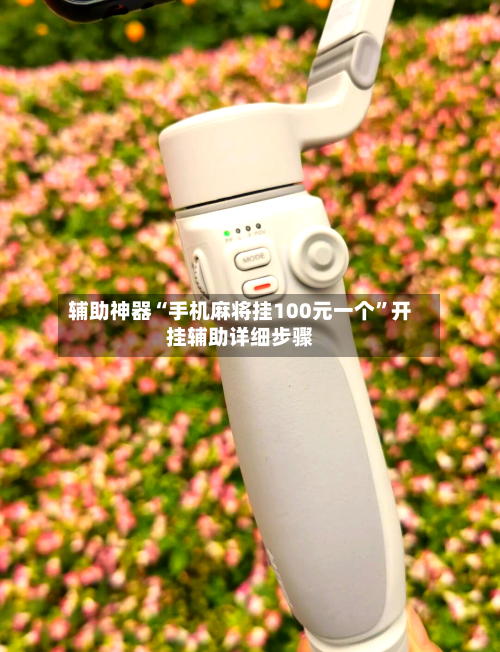 辅助神器“手机麻将挂100元一个”开挂辅助详细步骤-第1张图片