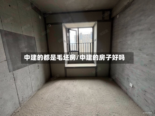 中建的都是毛坯房/中建的房子好吗-第1张图片