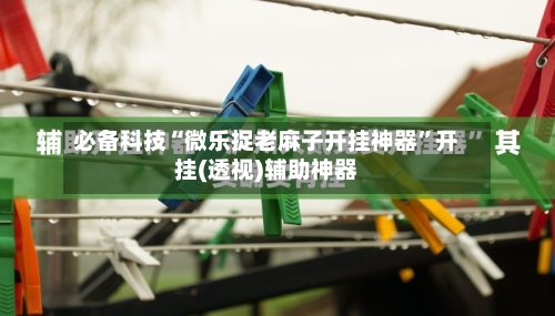 必备科技“微乐捉老麻子开挂神器	”开挂(透视)辅助神器-第1张图片
