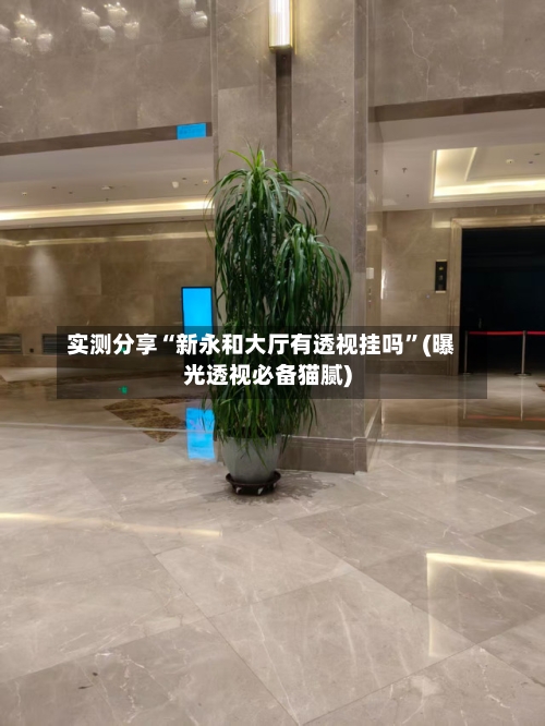 实测分享“新永和大厅有透视挂吗	”(曝光透视必备猫腻)-第1张图片
