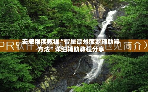 安装程序教程“智星德州菠萝辅助器方法”详细辅助教程分享-第1张图片