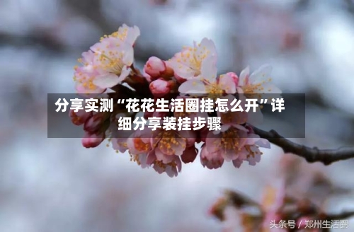 分享实测“花花生活圈挂怎么开”详细分享装挂步骤-第1张图片