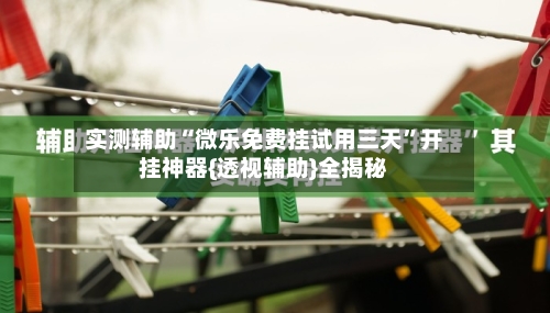实测辅助“微乐免费挂试用三天”开挂神器{透视辅助}全揭秘-第1张图片