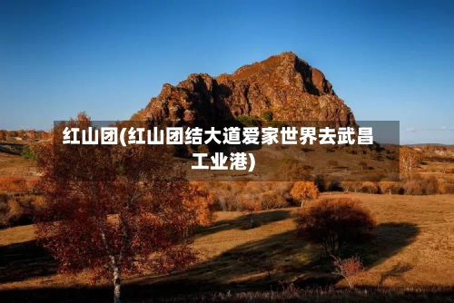 红山团(红山团结大道爱家世界去武昌工业港)-第1张图片