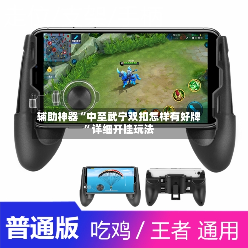 辅助神器“中至武宁双扣怎样有好牌	”详细开挂玩法-第1张图片