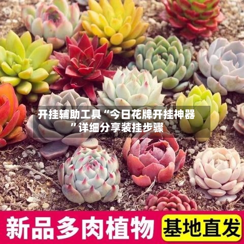 开挂辅助工具“今日花牌开挂神器”详细分享装挂步骤-第1张图片