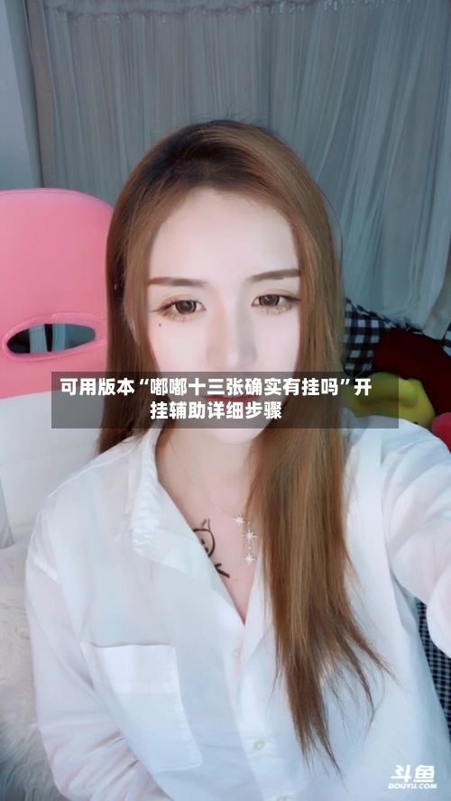 可用版本“嘟嘟十三张确实有挂吗”开挂辅助详细步骤-第1张图片