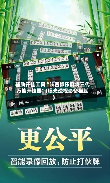 辅助开挂工具“陕西微乐麻将三代万能开挂器”(曝光透视必备猫腻)-第1张图片