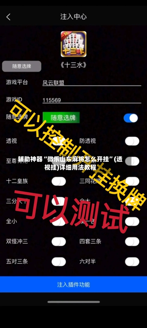 辅助神器“微乐山东麻将怎么开挂”(透视挂)详细用法教程-第1张图片