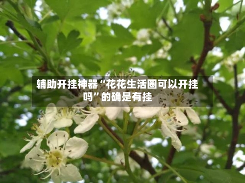 辅助开挂神器“花花生活圈可以开挂吗”的确是有挂-第1张图片