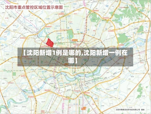 【沈阳新增1例是哪的,沈阳新增一例在哪】-第1张图片