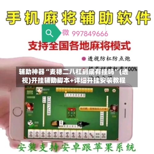 辅助神器“麦穗二八杠到底有挂吗	”(透视)开挂辅助脚本+详细开挂安装教程-第1张图片