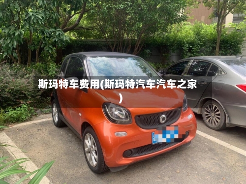 斯玛特车费用(斯玛特汽车汽车之家)-第1张图片