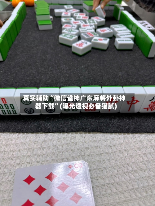 真实辅助“微信雀神广东麻将外卦神器下载”(曝光透视必备猫腻)-第1张图片