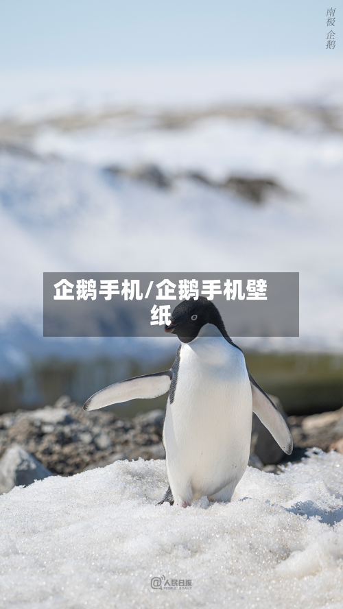企鹅手机/企鹅手机壁纸-第1张图片
